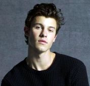 Superstar Shawn Mendes